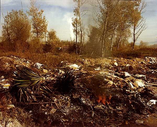 Photographies inédites de Bustamante