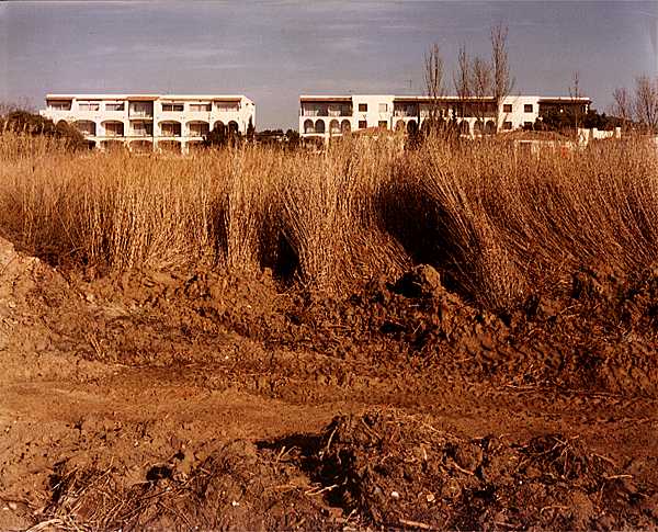 Photographies inédites de Bustamante