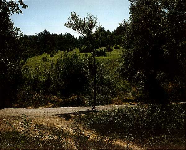 Photographies inédites de Bustamante