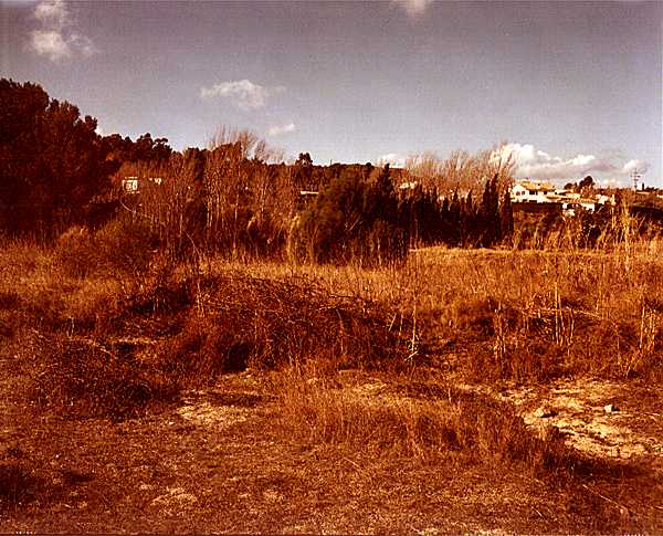 Photographies inédites de Bustamante