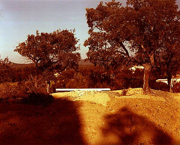 Photographies inédites de Bustamante