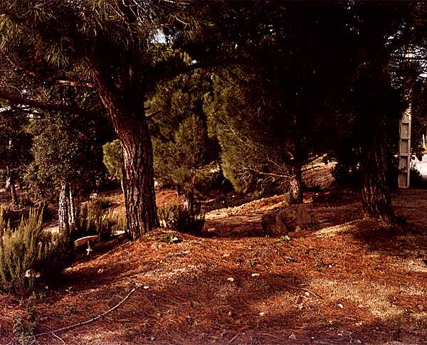 Photographies inédites de Bustamante