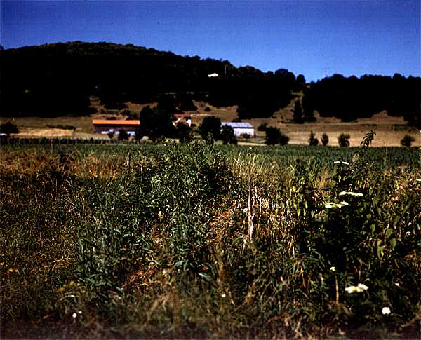 Photographies inédites de Bustamante