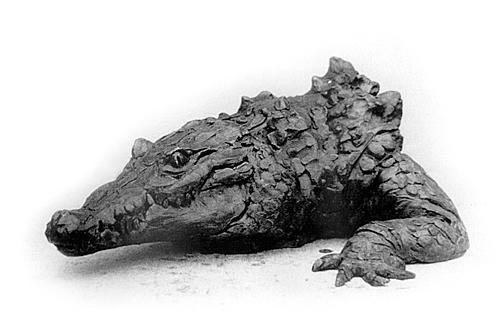 Nicolas Kennett, Crocodile, 1991