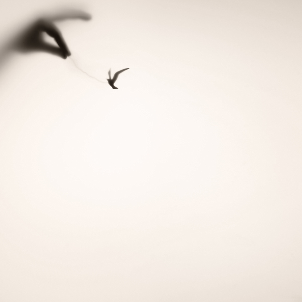 Metamorphoses2