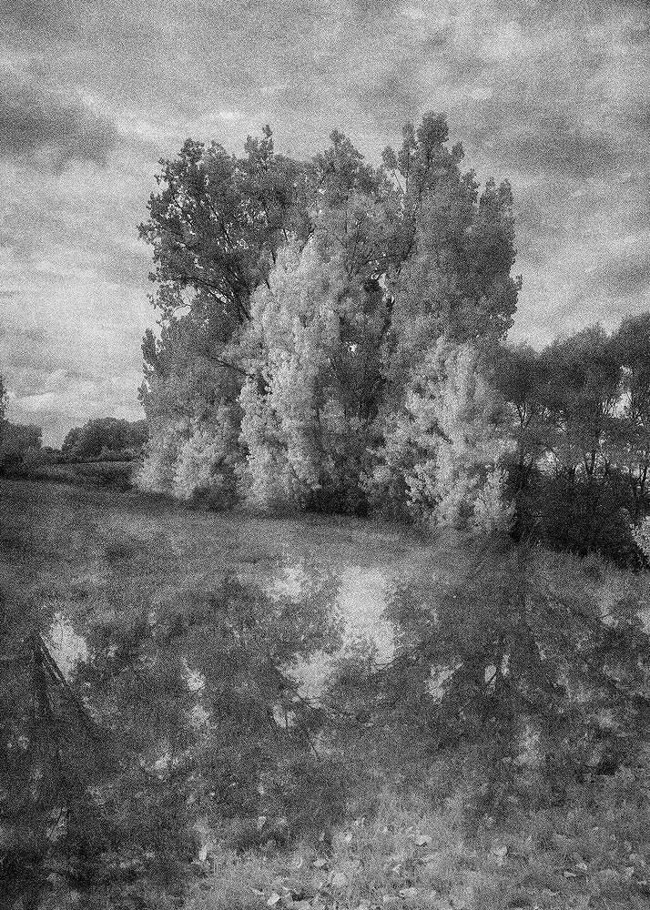 Chaumont-sur-Loire
