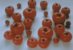 Jean-Luc Moulène - 09.05.1996 (tomates)