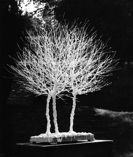 Frederic Anderson