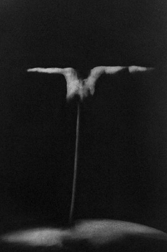 Richard Laillier
