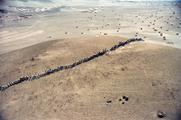 Francis Alÿs