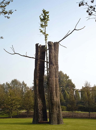 Penone au parc du Château de Versailles