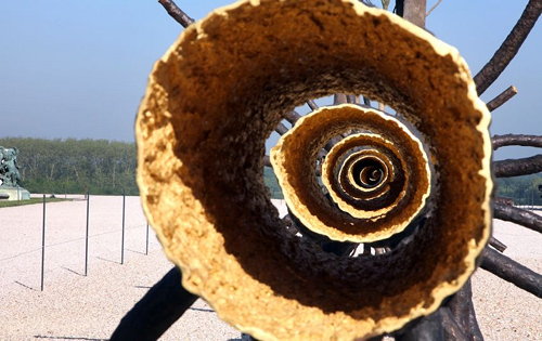 Penone au parc du Château de Versailles