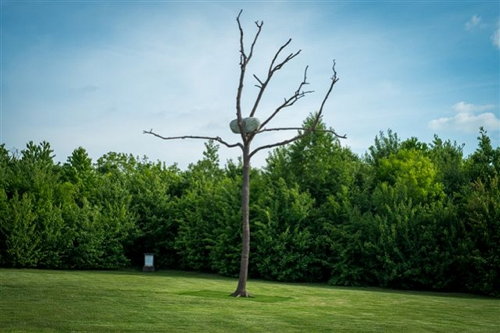 Penone au parc du Château de Versailles