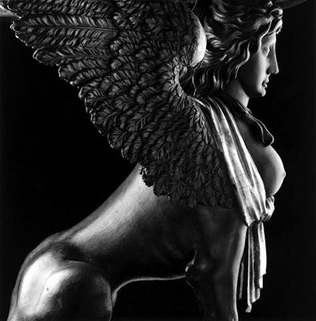 Mapplethorpe