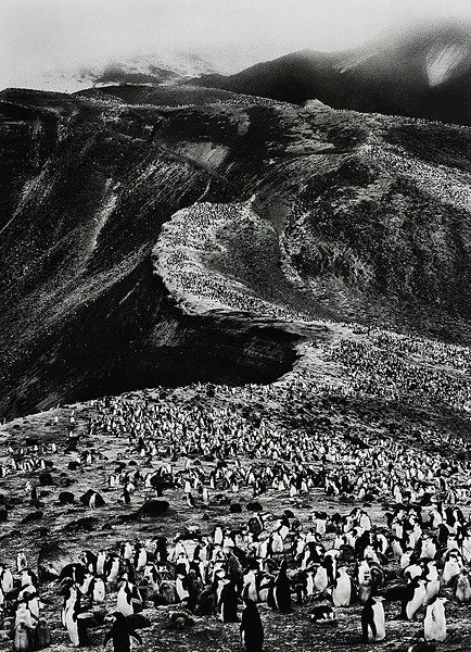 Sebastião Salgado