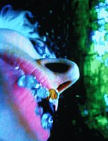 Blue Bodily Lettre - Pipilotti Rist