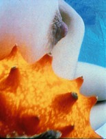 Pickelporno - Pipilotti Rist