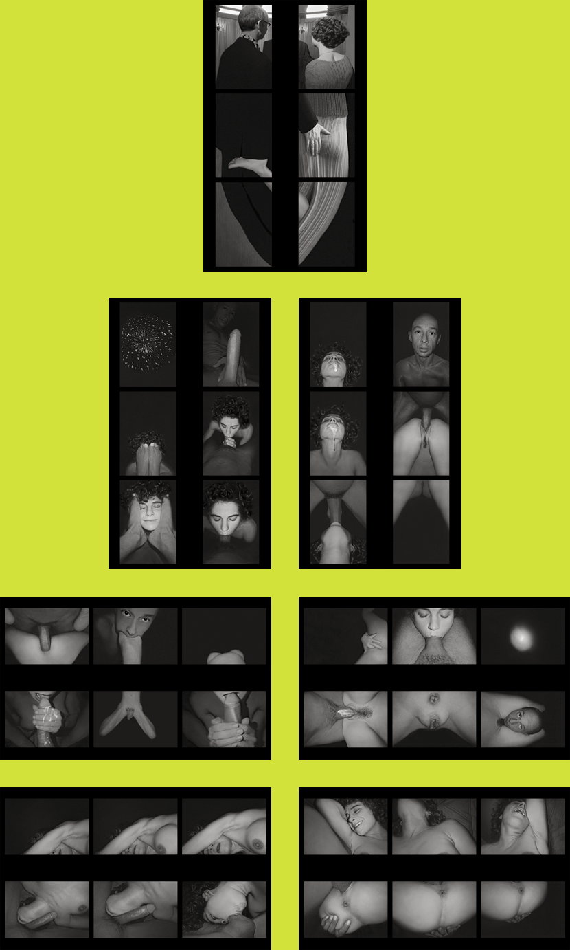 Pierre Radisic Pornscapes