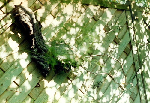 Sylvie de Meurville, min&eacute;ral
