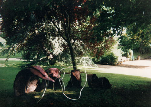 Sylvie de Meurville, v&eacute;g&eacute;tal