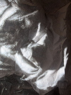 Sylvie de Meurville, incarnat