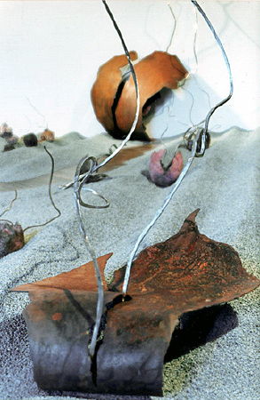 Sylvie de Meurville, v&eacute;g&eacute;tal