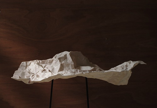 Sylvie de Meurville, Paysages plisseacute;s