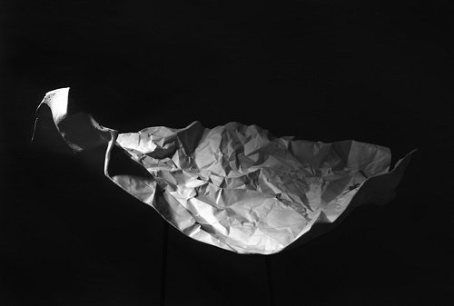 Sylvie de Meurville, paysages pliss&eacute;s