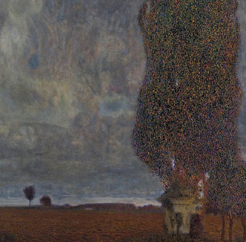Klimt, Schiele et leur Temps