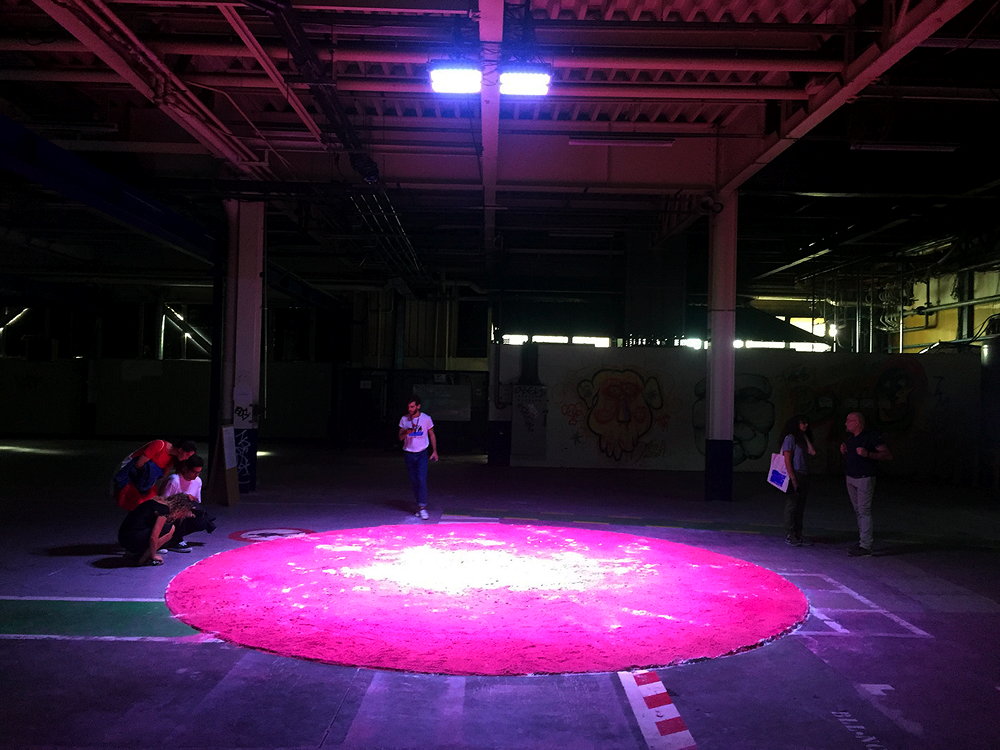 15ème Biennale de Lyon 2019